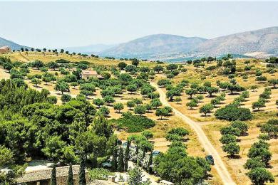 ΠΩΛΗΣΗ ΟΙΚΟΠΕΔΟΥ ΣΤΗΝ ΑΝΑΒΥΣΣΟ